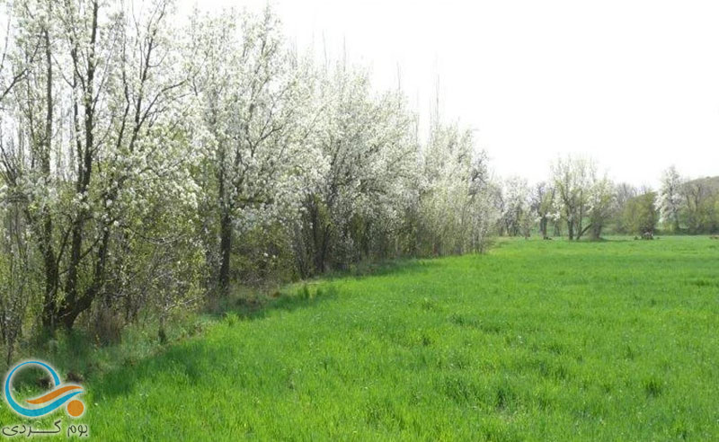 آشنایی با روستای چرن میانه