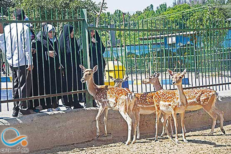 هیجان بازدید از باغ وحش درنا ارومیه  