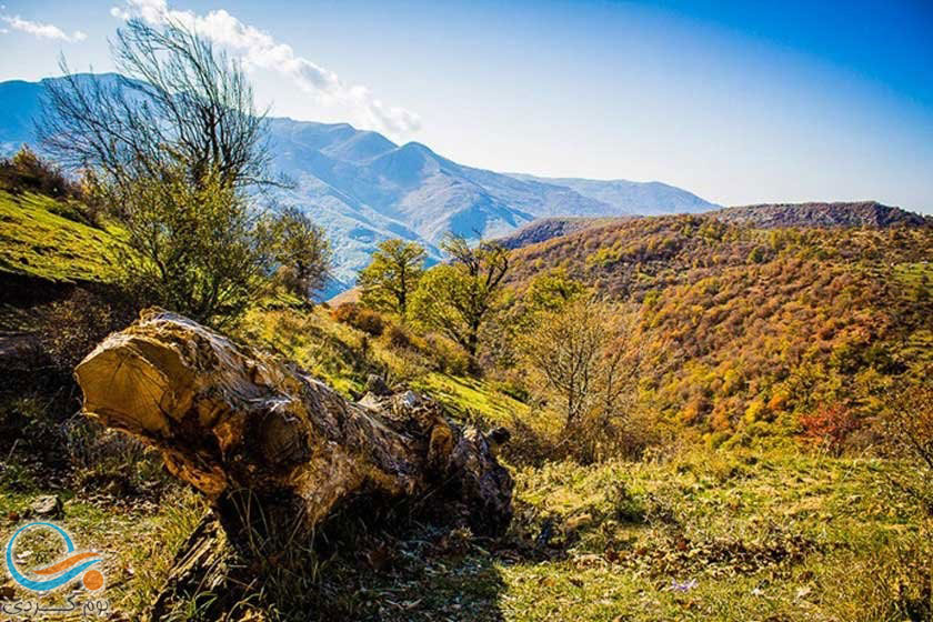 آشنایی با منطقه گردشگری جنگل طبیعی تنباکولو اهر و جاذبه های اطراف آن