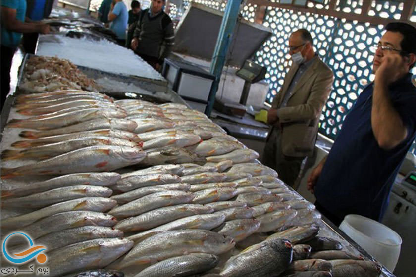 سیری در بازار جدید ماهی‌ فروشان رامسر