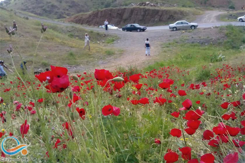 معرفی روستای حمیدآباد ساری و جاذبه های آن