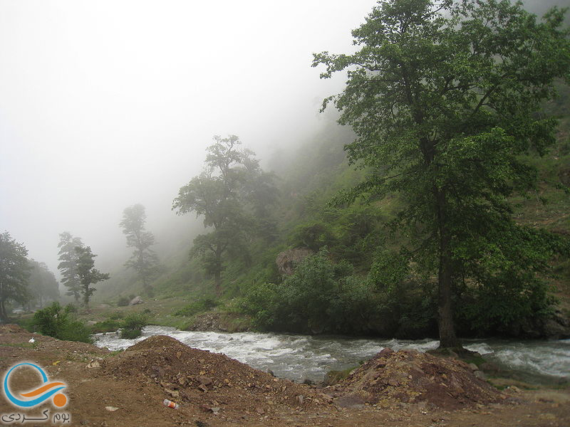 سیری در جنگل مجل کلاردشت