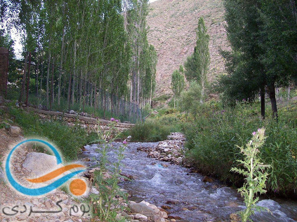 معرفی روستای گریوده بابل و دیدنی های آن