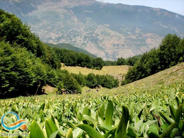 گشت و گذار در روستای امامزاده قاسم تنکابن