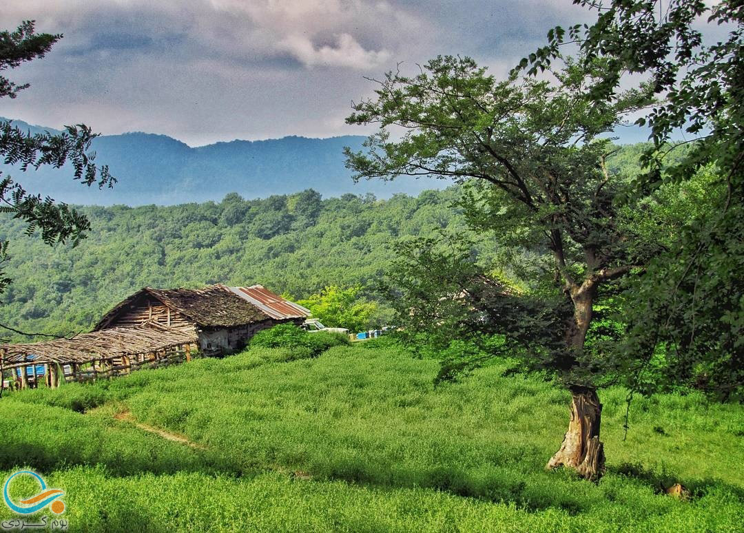 گشت و گذار در جنگل بلیران آمل