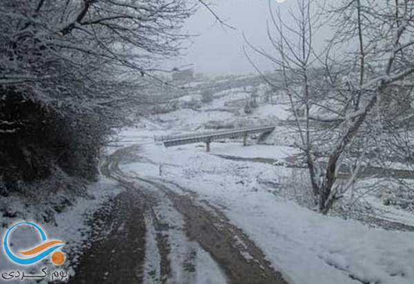 سفر به روستای تالارپشت سفلی قائمشهر