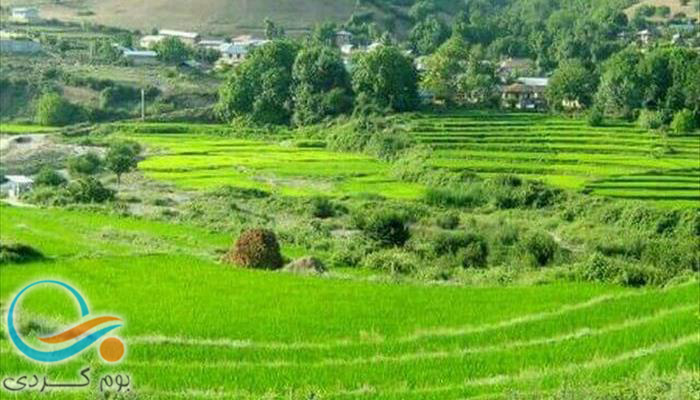 معرفی روستای سارم نکا و دیدنی هایش