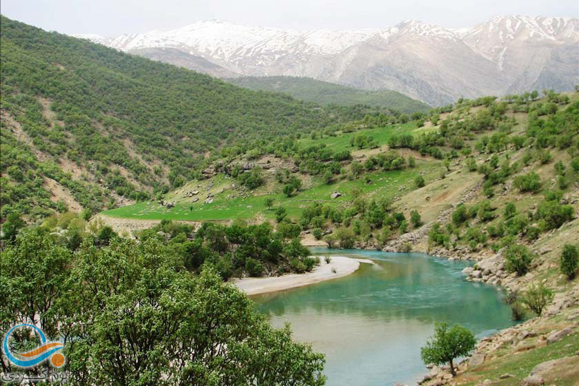 سیری در منطقه جنگلی بازفت کوهرنگ