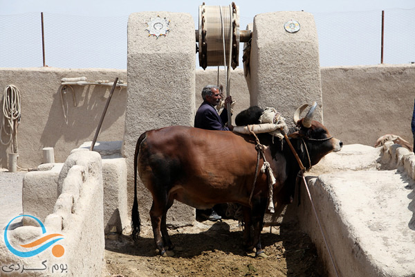 معرفی چاه گاو اصفهان