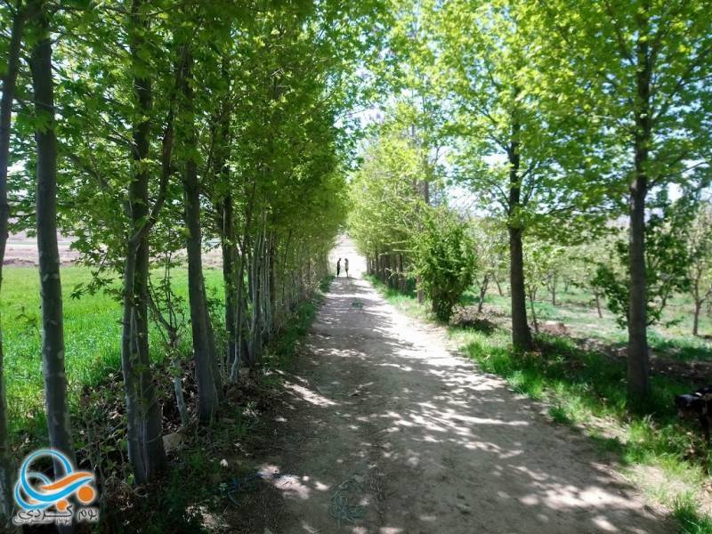 خونه باغ شاه قطب الدین (شیراز)