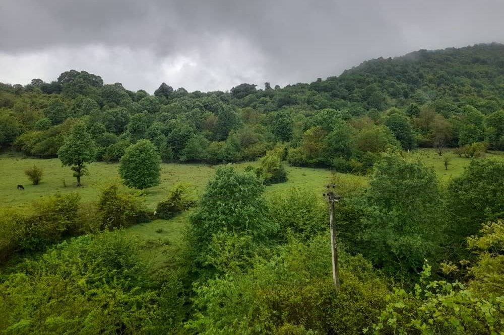 ویلا جنگلی دوخوابه آرتا (ماسال)
