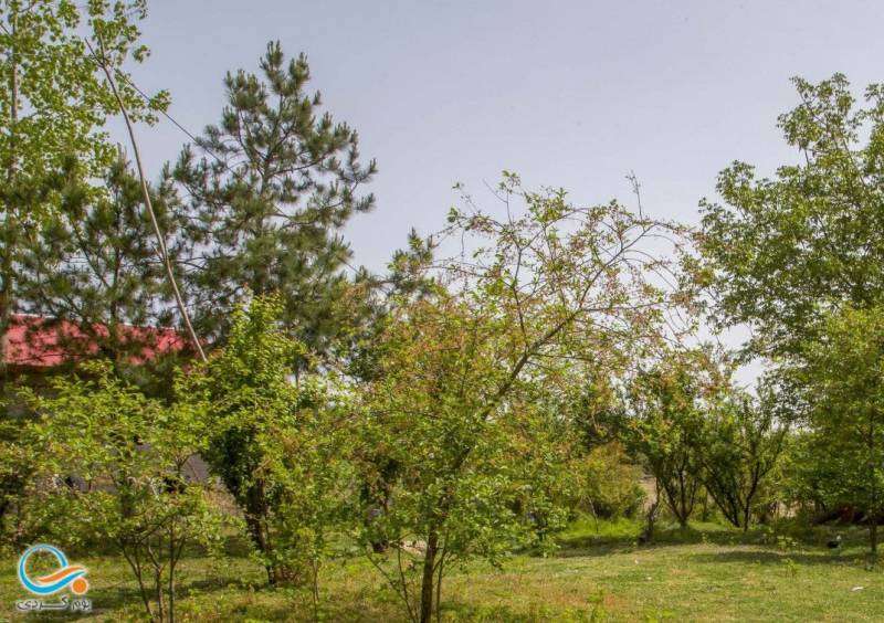 ویلای سه خوابه ارژنگ (رضوانشهر)