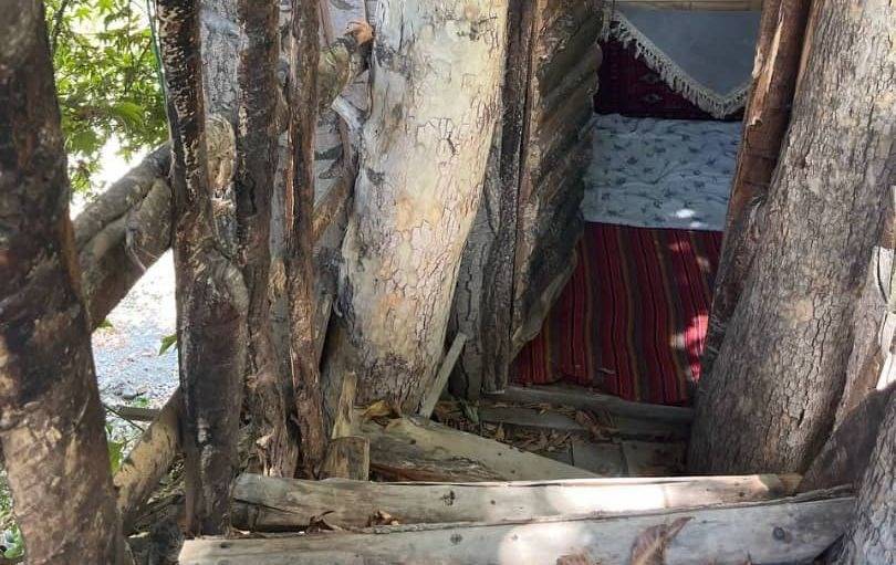 بوم گردی چشم جهان، کلبه درختی (ابتدای جاده چالوس، روستای کندر)