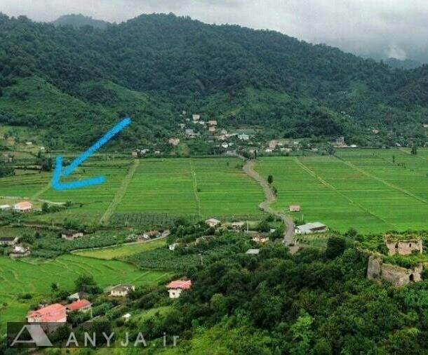 ویلا روستایی افرا (گیلان، لیسار)