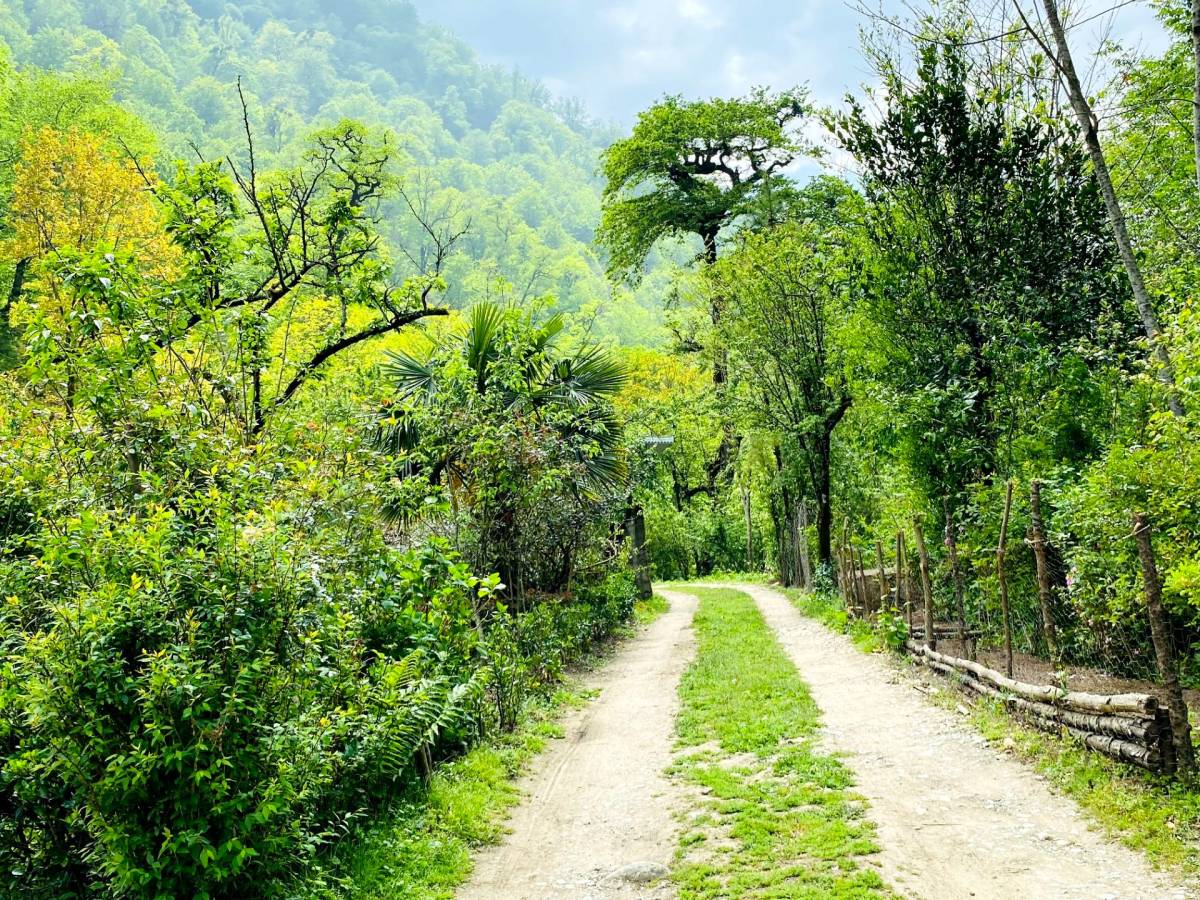 ویلای لب آب جنگلی مهراد (اسالم)