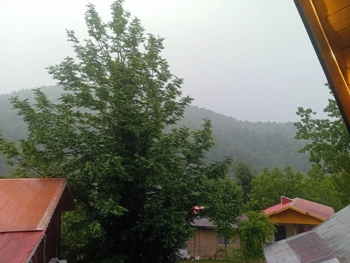 کلبه سوئیسی دوخوابه دربستی علی اصغر (ماسال)