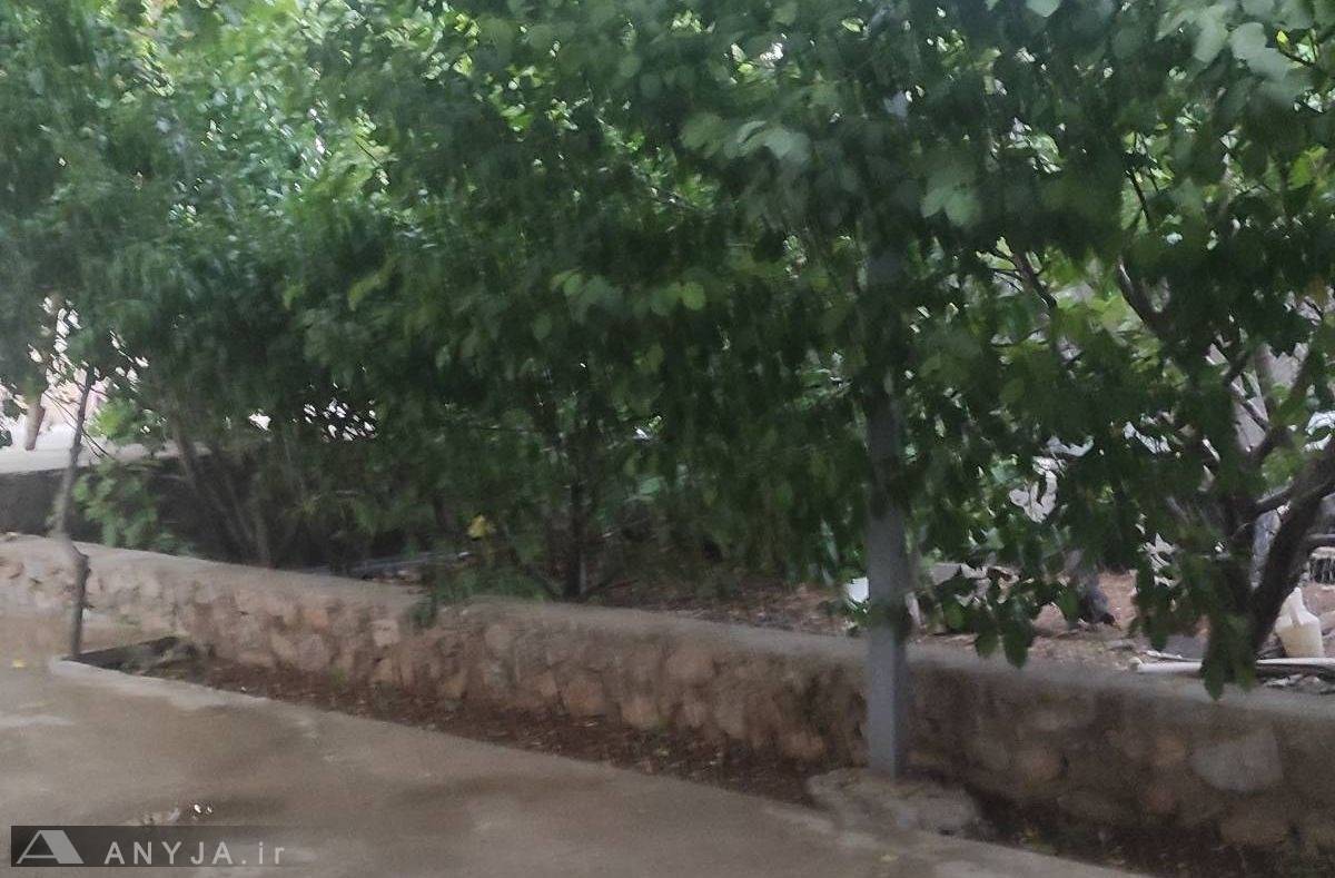سوئیت ویلایی حمید (سی سخت)