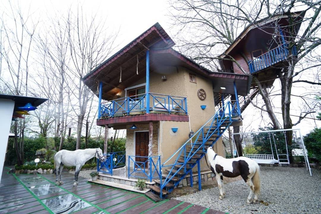 کلبه استخردار دوبلکس درختی (کلارآباد)