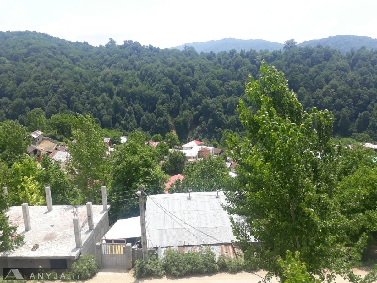 ویلا جنگلی عالی (زیرآب)