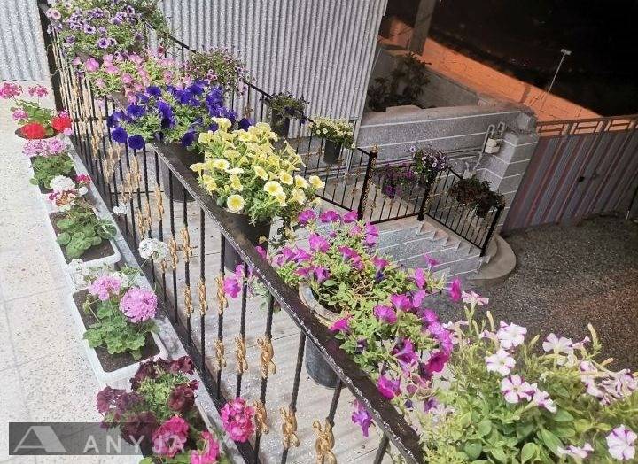 اقامتگاه ایلیا، واحد بزرگ (کهکیلویه، سی سخت)