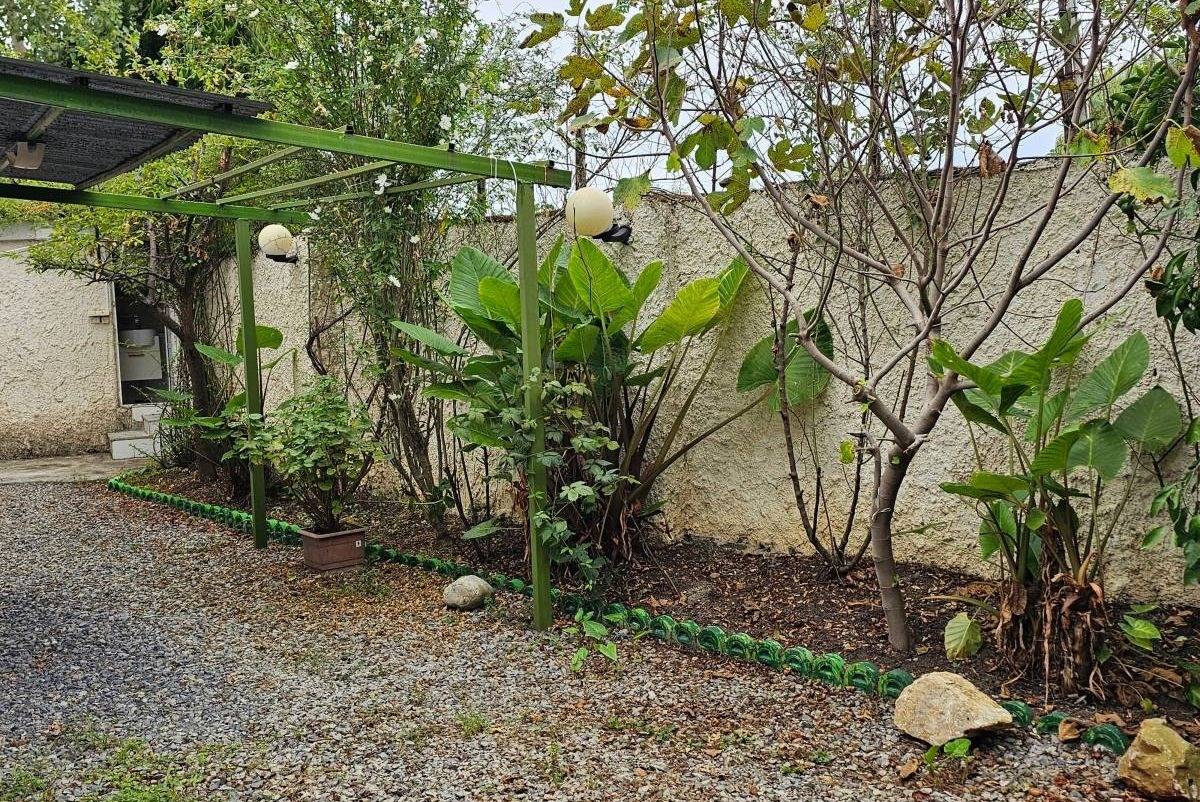 ویلای جنگلی حامد (چمستان)