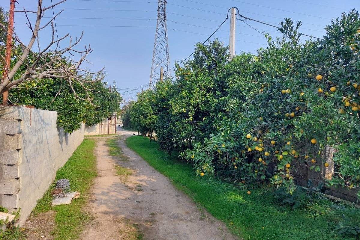 کلبه چوبی دنجکده (رامسر)